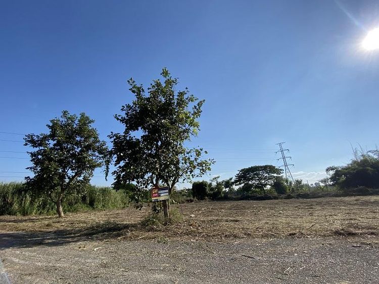 💖 ที่ดิน สันป่าตอง ราคาพิเศษ! 💖