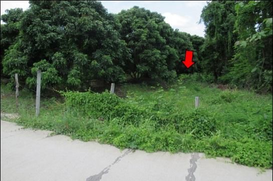 ใช่ 💖 ที่ดิน ฮอด ราคาพิเศษ! 💖 รูปที่ 3