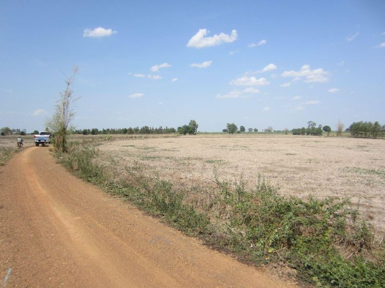 ใช่ 💖 ที่ดิน หันคา ราคาพิเศษ! 💖 รูปที่ 3