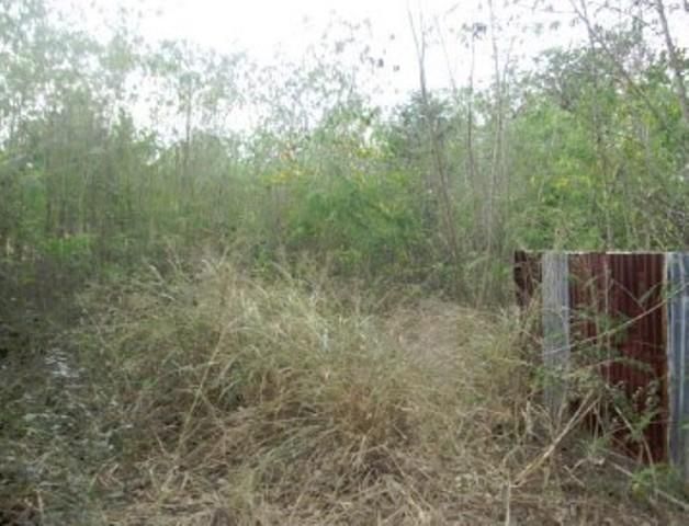 ใช่ 💖 ที่ดิน แก้งคร้อ ราคาพิเศษ! 💖 รูปที่ 3