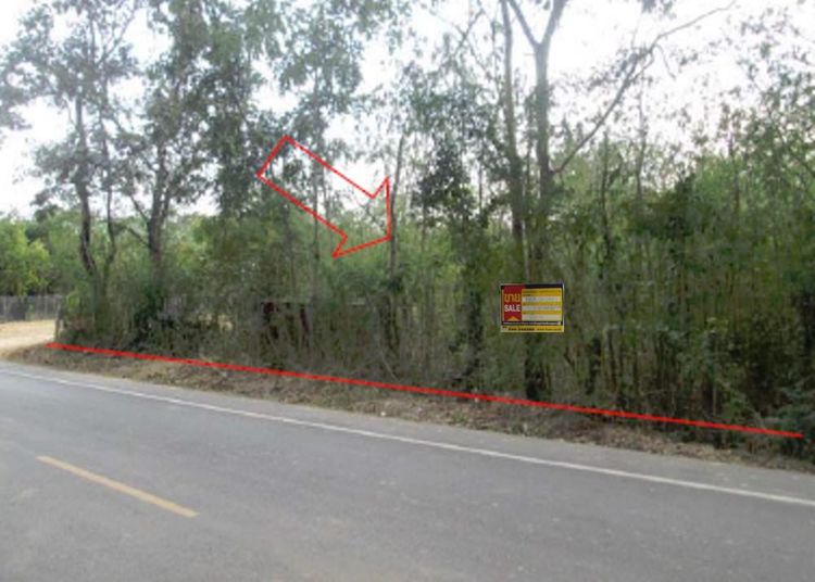 💖 ที่ดิน แก้งคร้อ ราคาพิเศษ! 💖