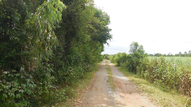 ใช่ 💟 ที่ดินเปล่า ชัยภูมิ 💟 รูปที่ 3