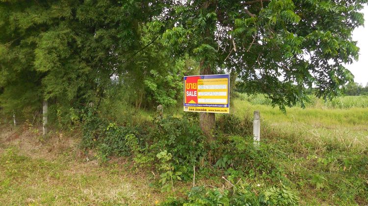 💟 ที่ดินเปล่า ชัยภูมิ 💟