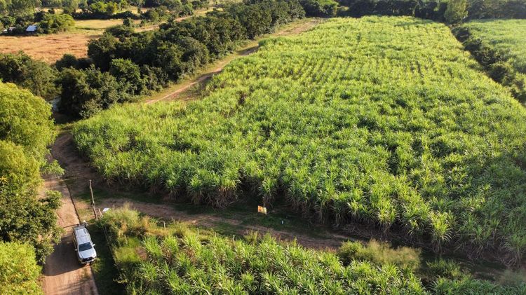 ใช่ 💖 ที่ดิน เกษตรสมบูรณ์ ราคาพิเศษ! 💖 รูปที่ 4