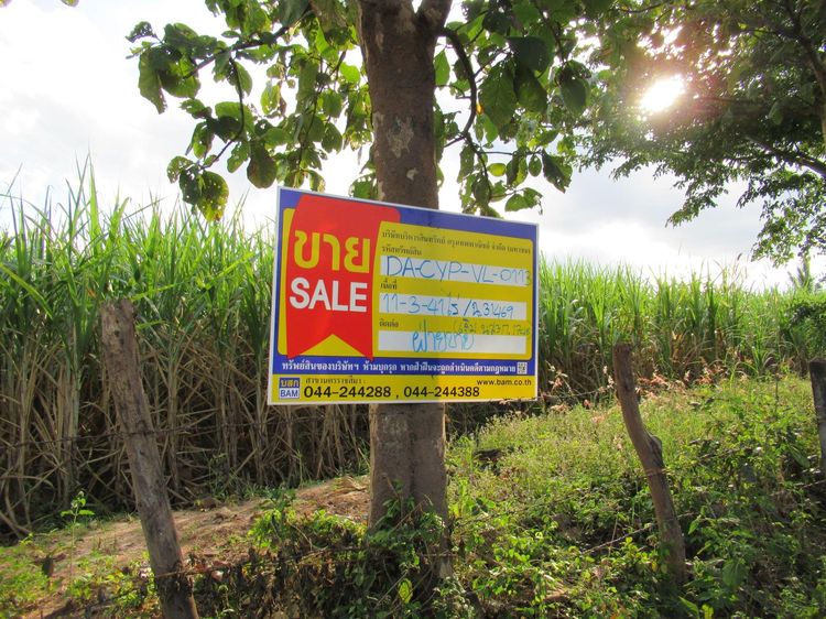 💖 ที่ดิน เกษตรสมบูรณ์ ราคาพิเศษ! 💖