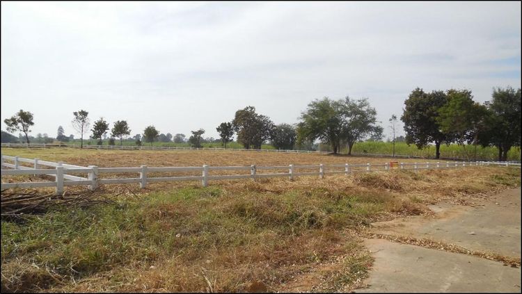 ใช่ 💖 ที่ดิน พล ราคาพิเศษ! 💖 รูปที่ 2