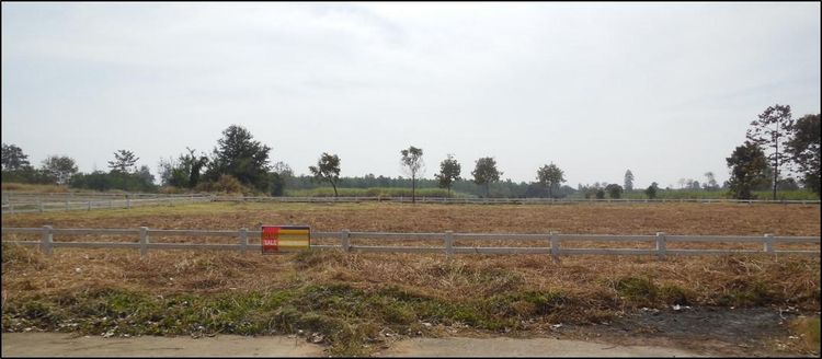 ใช่ 💖 ที่ดิน พล ราคาพิเศษ! 💖