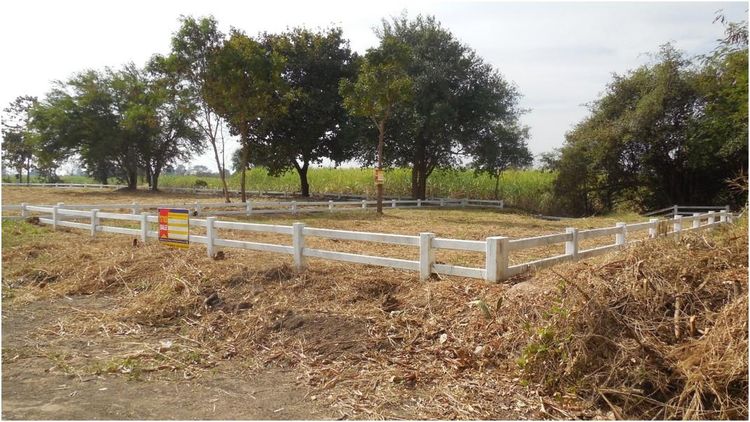 ใช่ 💖 ที่ดิน พล ราคาพิเศษ! 💖