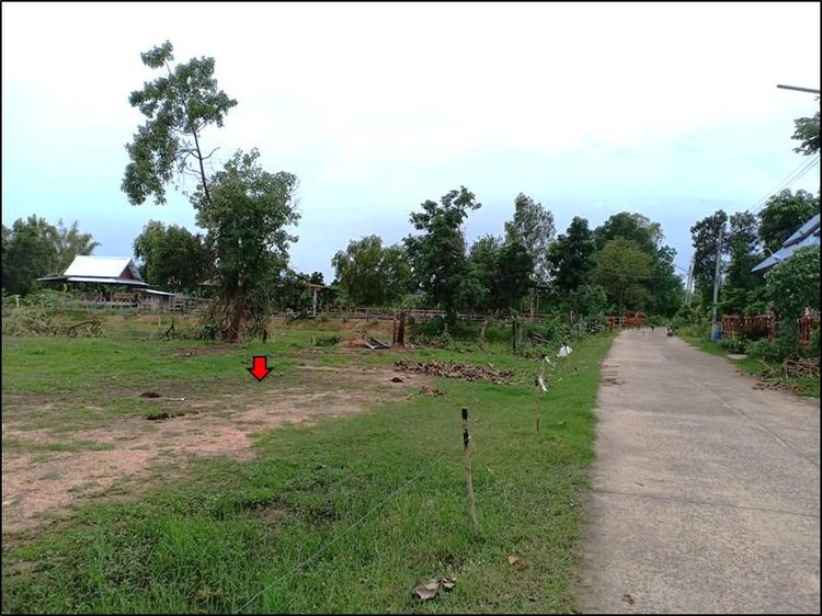 💖 ที่ดิน แวงใหญ่ ราคาพิเศษ! 💖