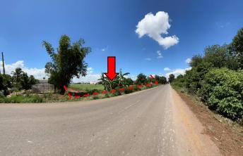 ใช่ 💖 ที่ดิน พัฒนานิคม ราคาพิเศษ! 💖 รูปที่ 3