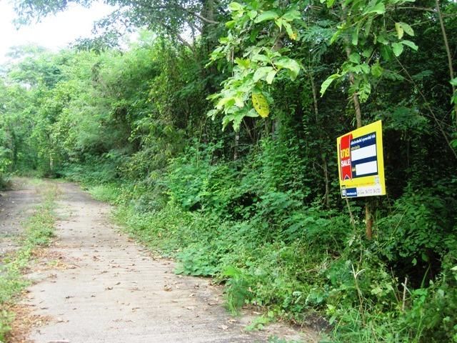 💖 ที่ดิน เกาะคา ราคาพิเศษ! 💖