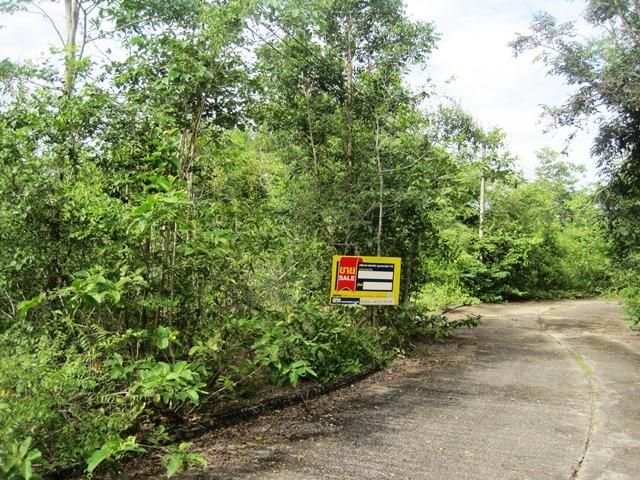 💖 ที่ดิน เกาะคา ราคาพิเศษ! 💖