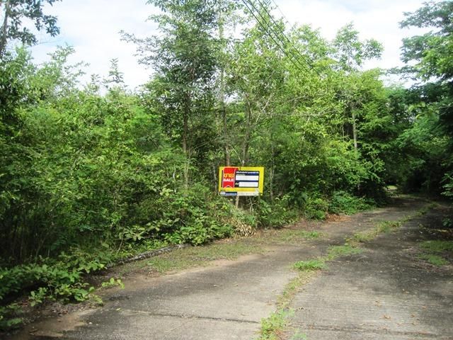 💖 ที่ดิน เกาะคา ราคาพิเศษ! 💖