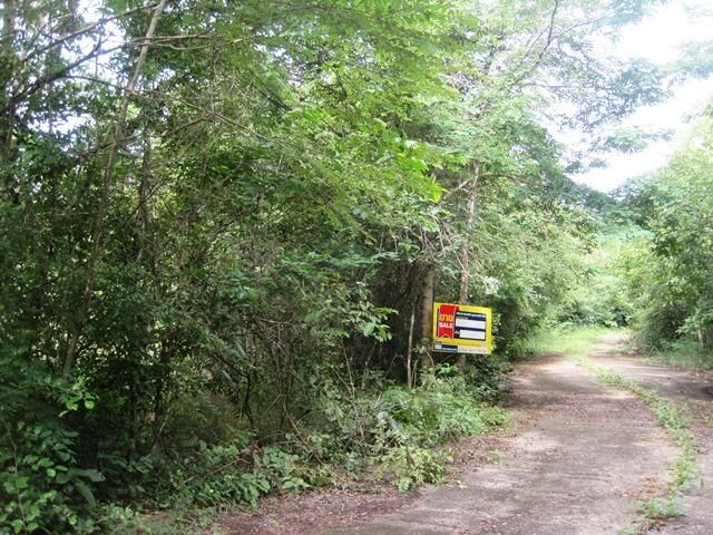 💖 ที่ดิน เกาะคา ราคาพิเศษ! 💖