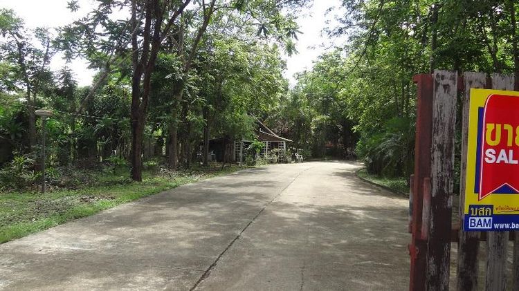 ใช่ 💖 ที่ดิน เกาะคา ราคาพิเศษ! 💖 รูปที่ 3