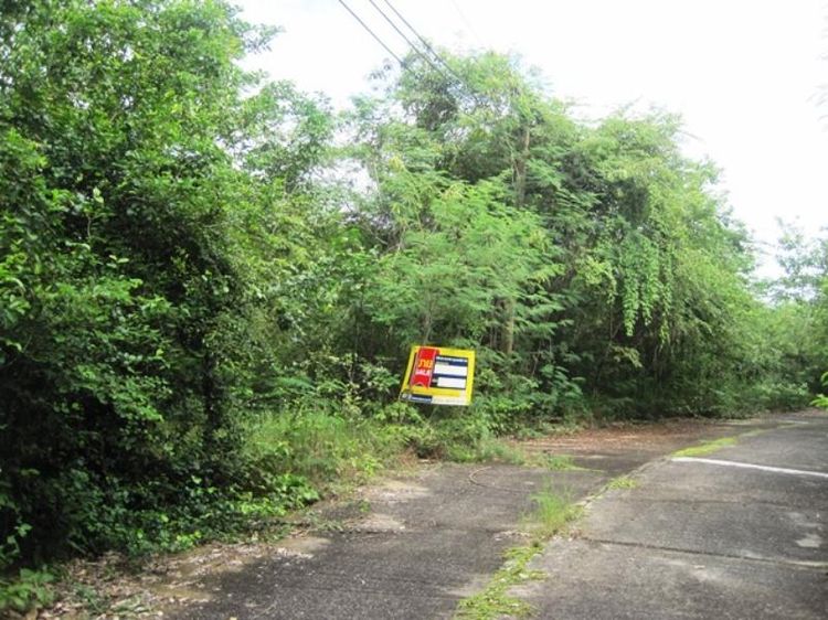 💖 ที่ดิน เกาะคา ราคาพิเศษ! 💖