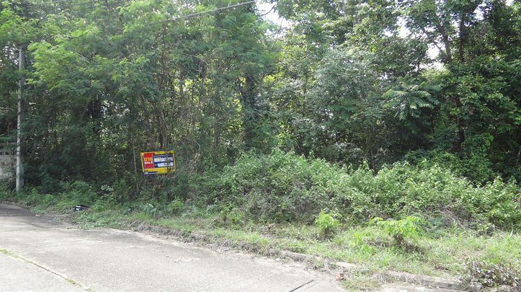 ใช่ 💖 ที่ดิน เกาะคา ราคาพิเศษ! 💖 รูปที่ 4