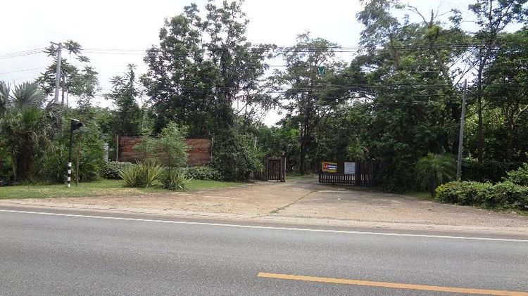 ใช่ 💖 ที่ดิน เกาะคา ราคาพิเศษ! 💖 รูปที่ 2