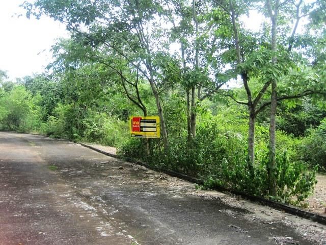 💖 ที่ดิน เกาะคา ราคาพิเศษ! 💖