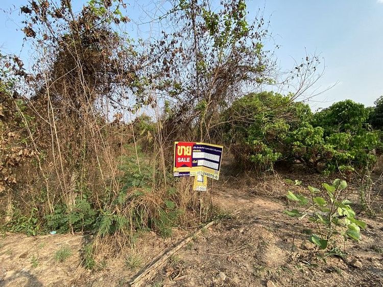 💖 ที่ดิน ป่าซาง ราคาพิเศษ! 💖