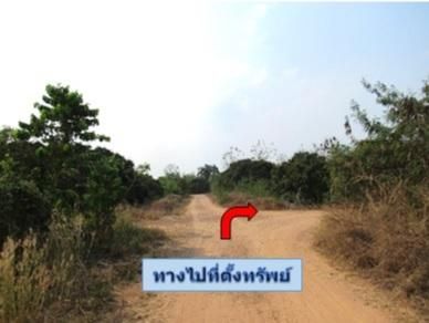ใช่ 💖 ที่ดิน ป่าซาง ราคาพิเศษ! 💖 รูปที่ 4