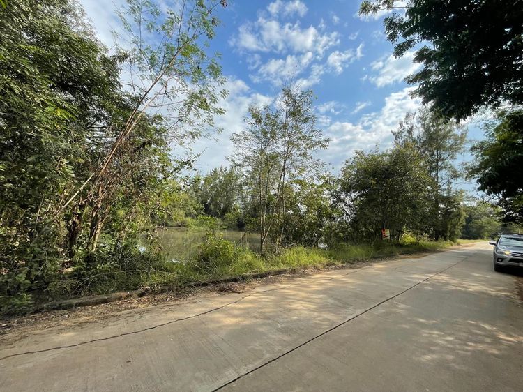 ใช่ 💖 ที่ดิน บ้านธิ ราคาพิเศษ! 💖 รูปที่ 2