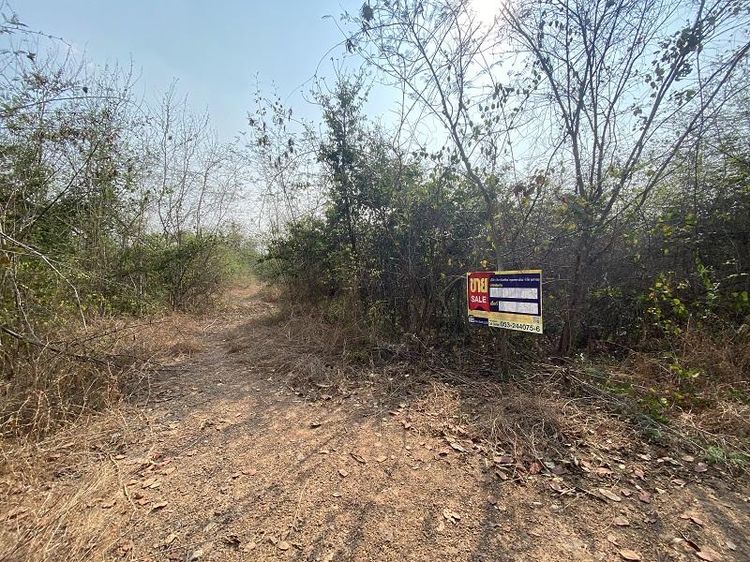 ใช่ 💖 ที่ดิน ป่าซาง ราคาพิเศษ! 💖 รูปที่ 4