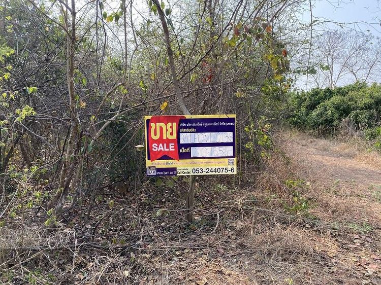 💖 ที่ดิน ป่าซาง ราคาพิเศษ! 💖