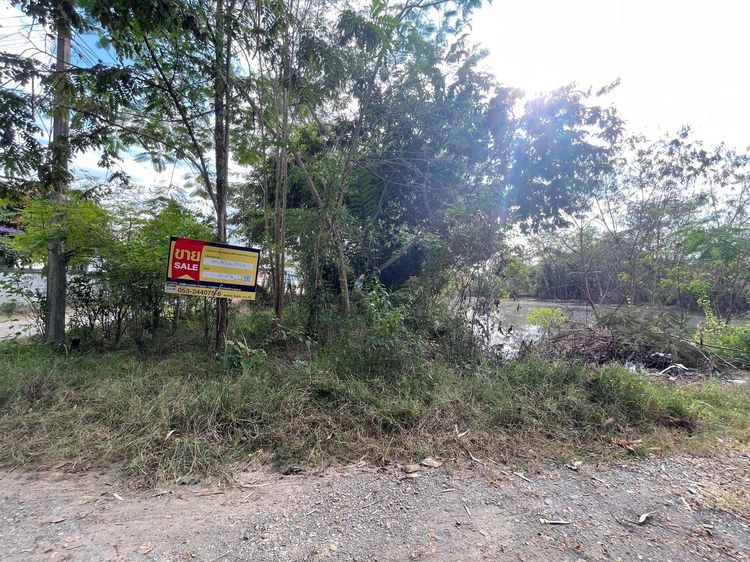 ใช่ 💖 ที่ดิน บ้านธิ ราคาพิเศษ! 💖 รูปที่ 2