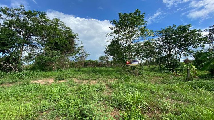 ใช่ 💖 ที่ดิน เมืองลำพูน ราคาพิเศษ! 💖 รูปที่ 2