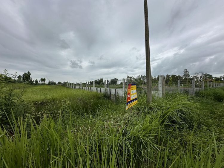 ใช่ 💖 ที่ดิน องครักษ์ ราคาพิเศษ! 💖 รูปที่ 3