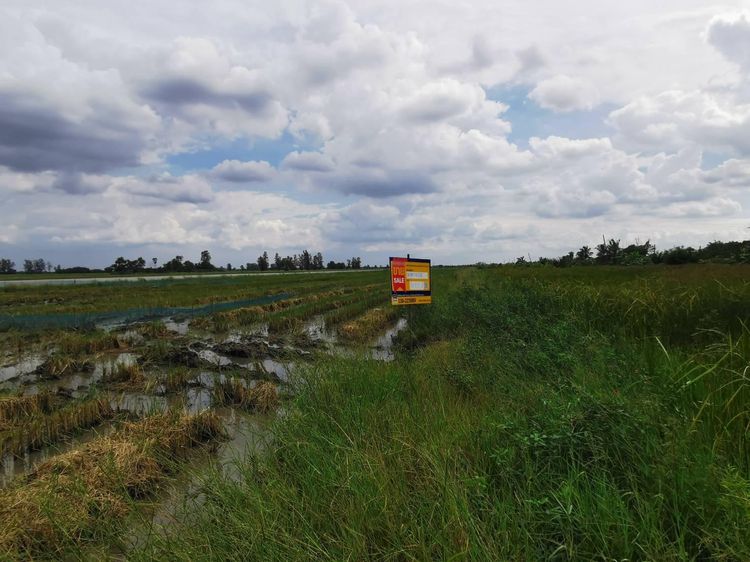 💖 ที่ดิน องครักษ์ ราคาพิเศษ! 💖