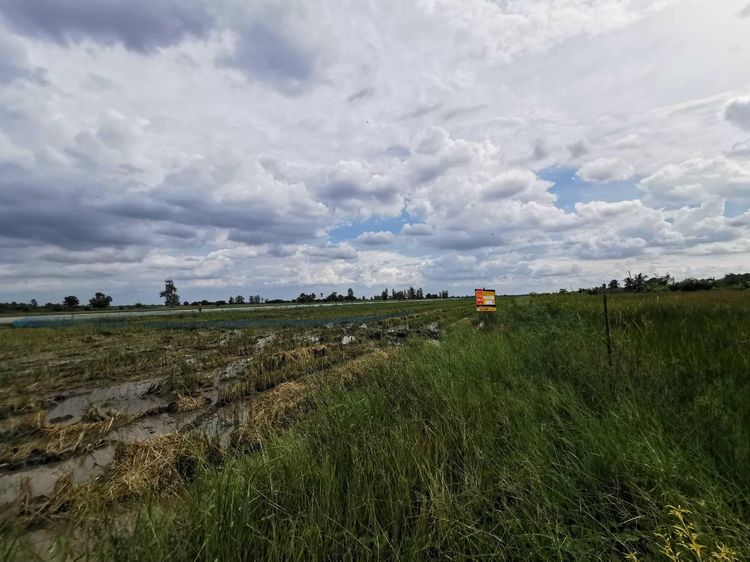 ใช่ 💖 ที่ดิน องครักษ์ ราคาพิเศษ! 💖 รูปที่ 3