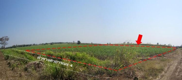 ใช่ 💖 ที่ดิน บึงสามพัน ราคาพิเศษ! 💖 รูปที่ 4