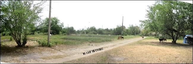 ใช่ 💖 ที่ดิน ปราณบุรี ราคาพิเศษ! 💖 รูปที่ 4