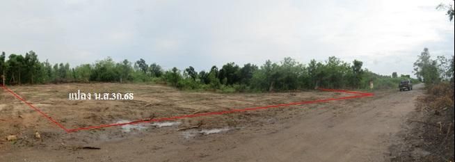 ใช่ 💖 ที่ดิน ท่ายาง ราคาพิเศษ! 💖 รูปที่ 2