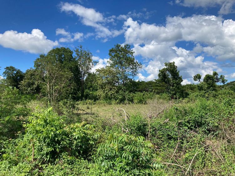 ใช่ 💖 ที่ดิน แก่งกระจาน ราคาพิเศษ! 💖 รูปที่ 2