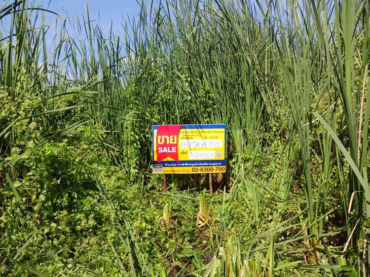 💖 ที่ดิน เมืองปทุมธานี ราคาพิเศษ! 💖