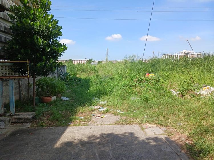 āđāļāđ ð āļāļĩāđāļāļīāļ āđāļĄāļ·āļāļāļāļāļļāļĄāļāļēāļāļĩ āļĢāļēāļāļēāļāļīāđāļĻāļĐ! ð āļĢāļđāļāļāļĩāđ 3