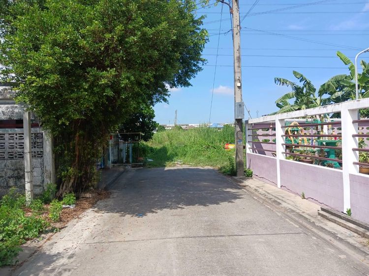 ใช่ 💖 ที่ดิน เมืองปทุมธานี ราคาพิเศษ! 💖 รูปที่ 4