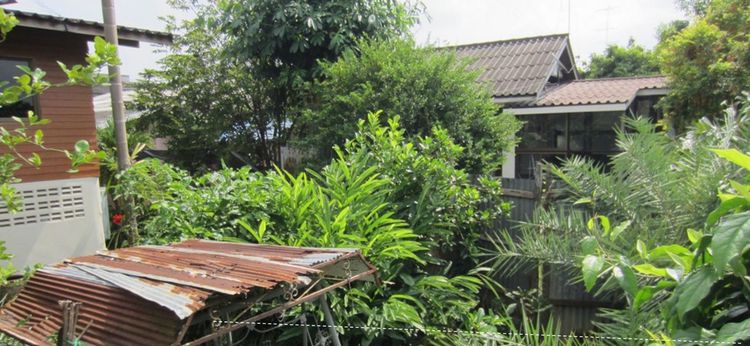 ใช่ 💖 ที่ดิน โพธาราม ราคาพิเศษ! 💖 รูปที่ 4