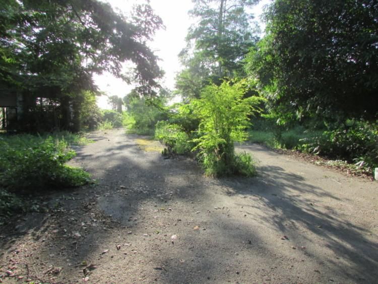 ใช่ 💖 ที่ดิน แกลง ราคาพิเศษ! 💖 รูปที่ 3