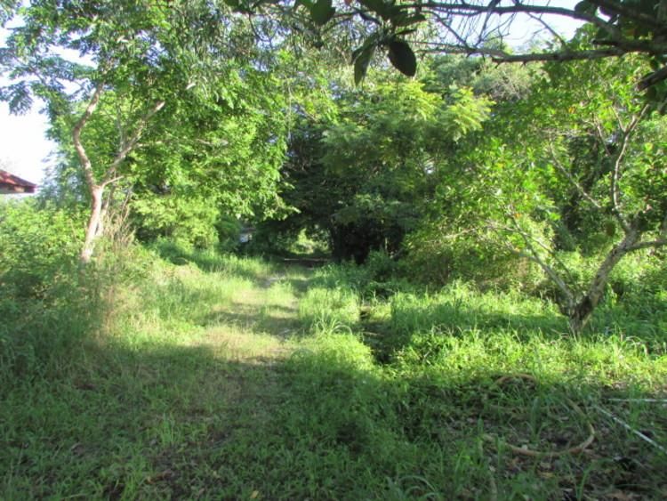 ใช่ 💖 ที่ดิน แกลง ราคาพิเศษ! 💖 รูปที่ 4