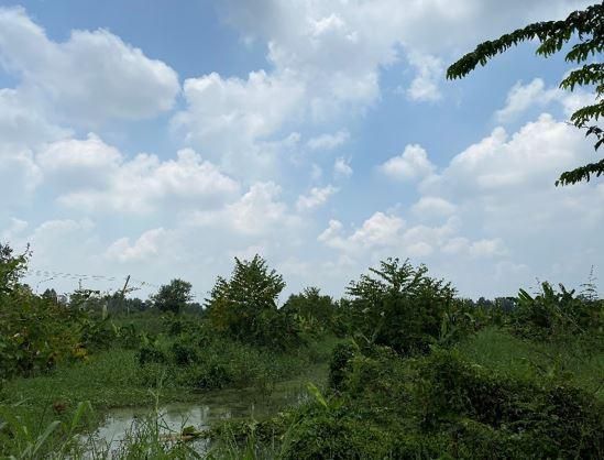 ใช่ 💖 ที่ดิน หนองแค ราคาพิเศษ! 💖 รูปที่ 3