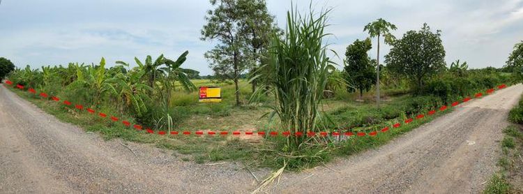 ใช่ 💖 ที่ดิน หนองแค ราคาพิเศษ! 💖