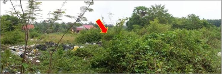 ใช่ 💖 ที่ดิน ห้วยยอด ราคาพิเศษ! 💖 รูปที่ 4