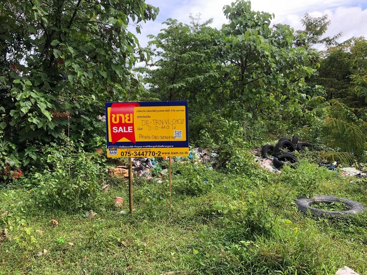 💖 ที่ดิน ห้วยยอด ราคาพิเศษ! 💖