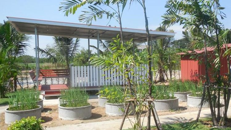 ใช่ 💖 ที่ดิน เมืองฉะเชิงเทรา ราคาพิเศษ! 💖 รูปที่ 4