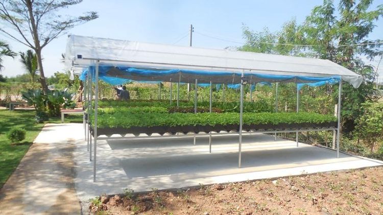 ใช่ 💖 ที่ดิน เมืองฉะเชิงเทรา ราคาพิเศษ! 💖 รูปที่ 3