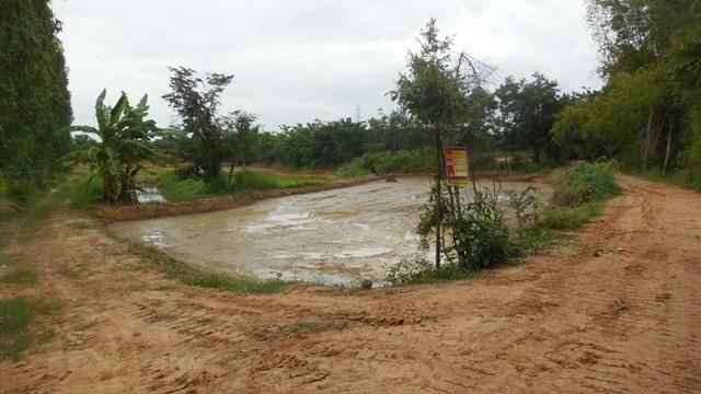 ใช่ 💖 ที่ดิน หนองเรือ ราคาพิเศษ! 💖 รูปที่ 2